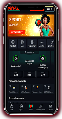 Pin Up APK